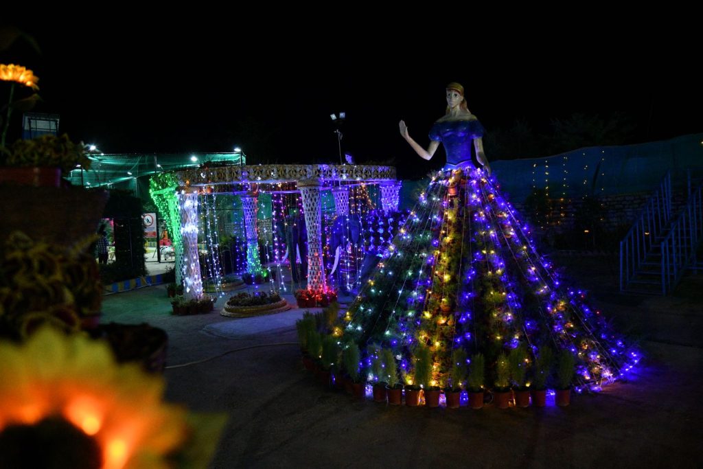 Water Park Ranchi Night Light park Wild waadi Ranchi